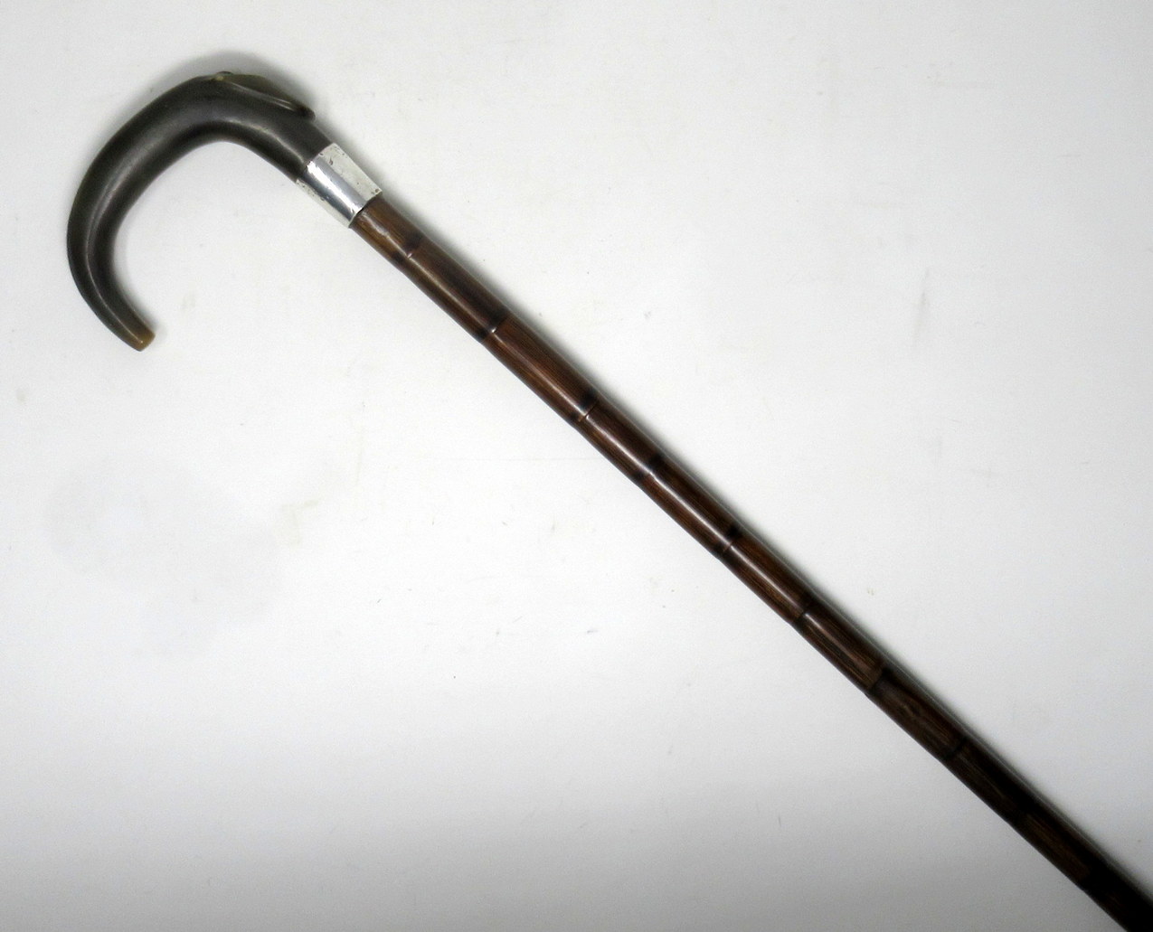 094. Partridge Wood Walking Stick Cane Horn Crook Handle Sterling Silver Collar 1900 - Image 3