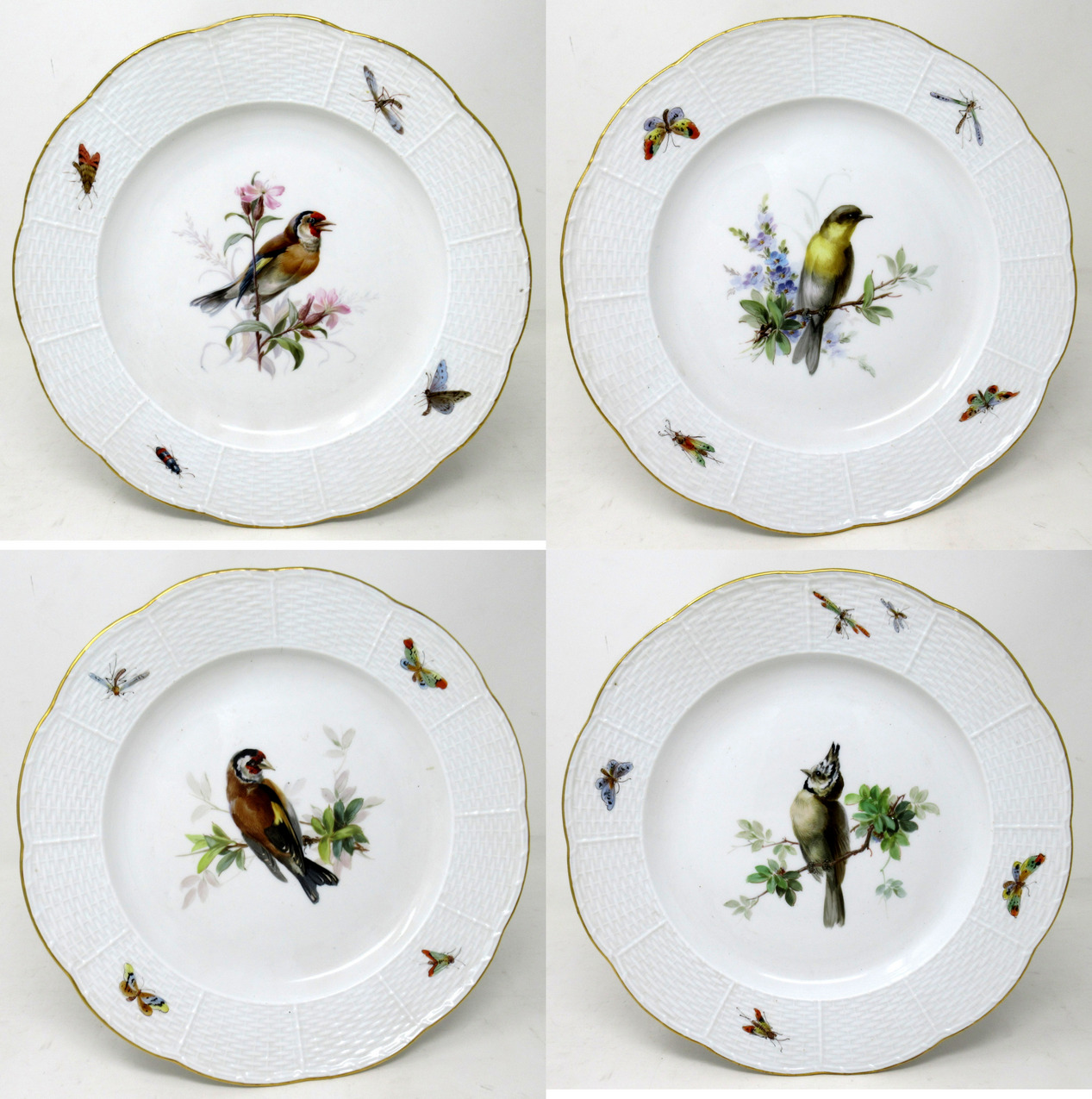 309. Antique Set German Dresden Meissen Ornithological Bird Insect Cabinet Plates - Image 2