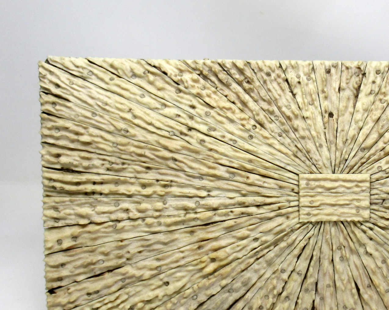 284. Antique Anglo Indian Vizagapatam Stag Antler Horn Sandalwood Document Box Casket - Image 5