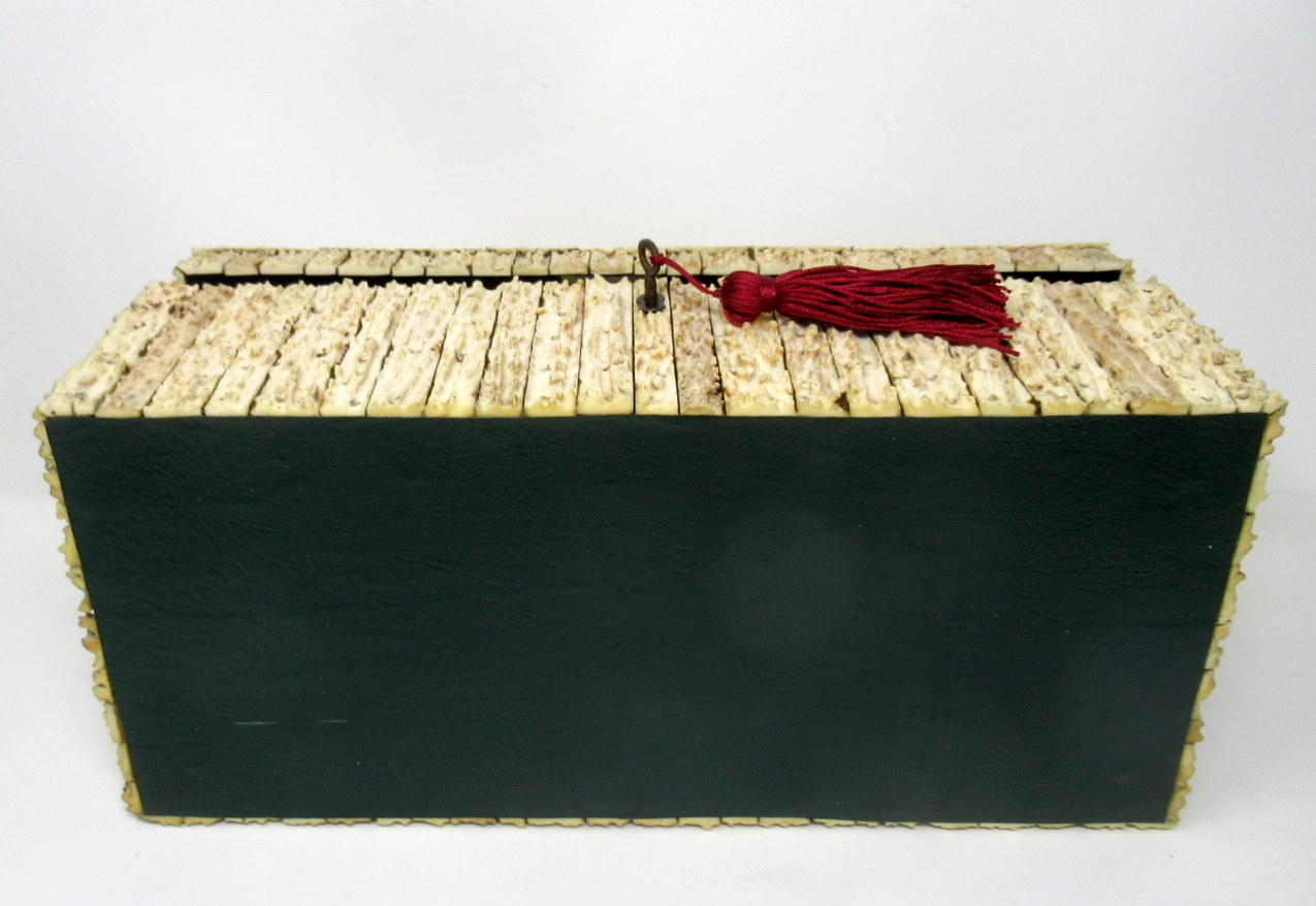 284. Antique Anglo Indian Vizagapatam Stag Antler Horn Sandalwood Document Box Casket - Image 10