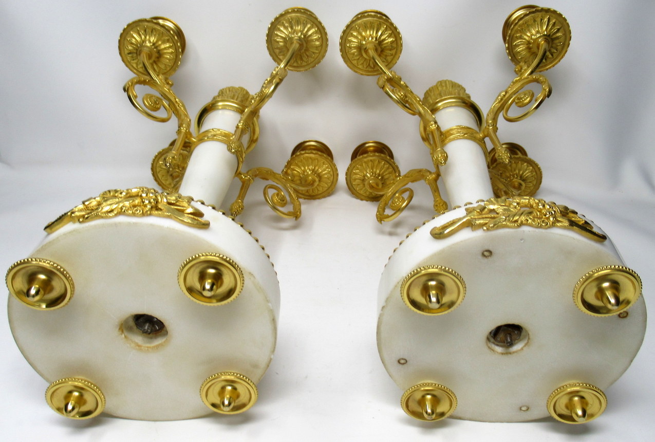 393. Stunning Pair Large Ormolu Marble Four Branch Candelabra Manner Pierre Gouthiere 19thCt - Image 8