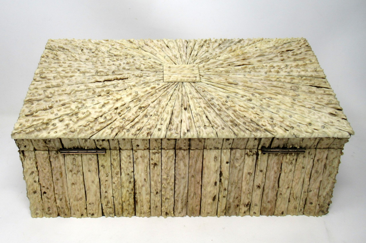 284. Antique Anglo Indian Vizagapatam Stag Antler Horn Sandalwood Document Box Casket - Image 7