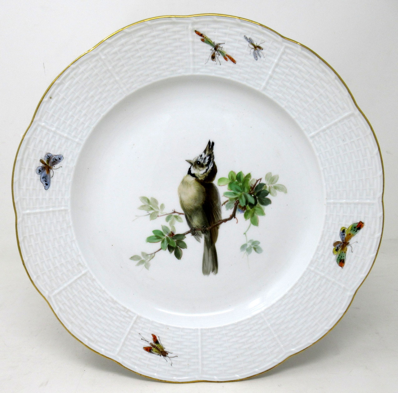 309. Antique Set German Dresden Meissen Ornithological Bird Insect Cabinet Plates - Image 6