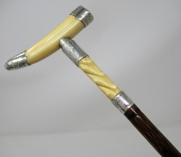 806. Superb Silver Mounted Ivory Boar Tusk Walking Cane Silver Hallmark 1904