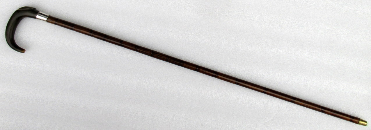 094. Partridge Wood Walking Stick Cane Horn Crook Handle Sterling Silver Collar 1900 - Image 8