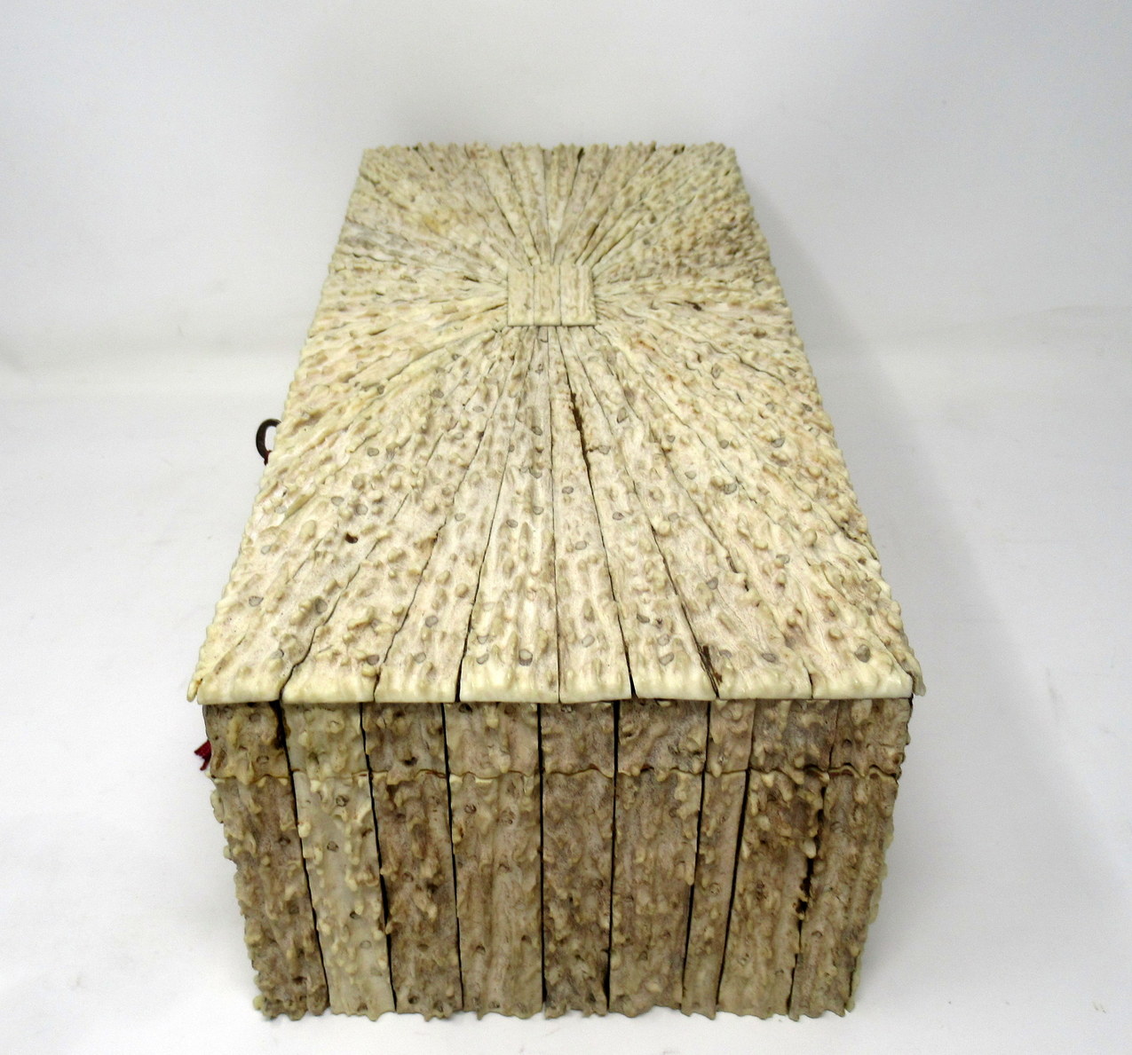 284. Antique Anglo Indian Vizagapatam Stag Antler Horn Sandalwood Document Box Casket - Image 8