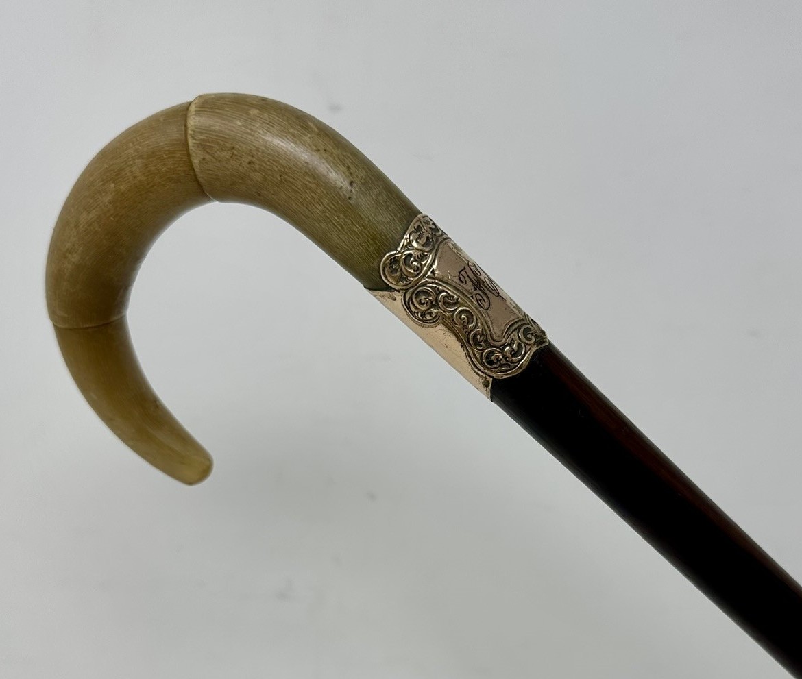 324. Antique Vintage English Walking Stick Cane Wooden Gold Plated Cow Horn Handle - Image 4