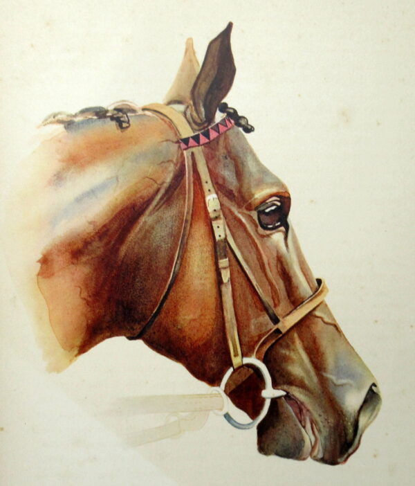 664. Antique Equine Racehorse Painting SIR GALLAHAD French Thoroughbred Horse Racing
