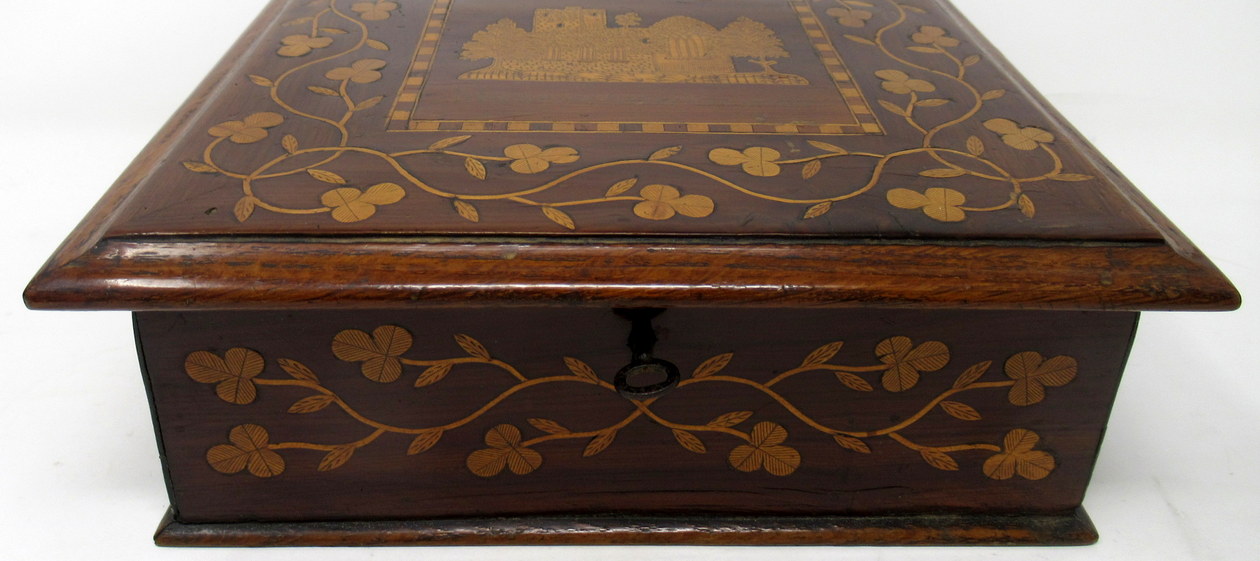 408. Rare Irish Killarneyware Jewellery Casket Mid 19th Century - Image 9