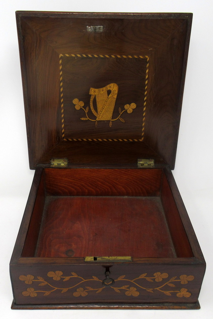 408. Rare Irish Killarneyware Jewellery Casket Mid 19th Century - Image 3