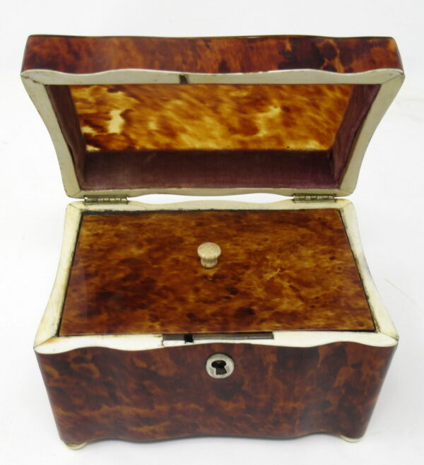 501. Fine Tortoiseshell and Ivory Single Tea Caddy mid 19thCt