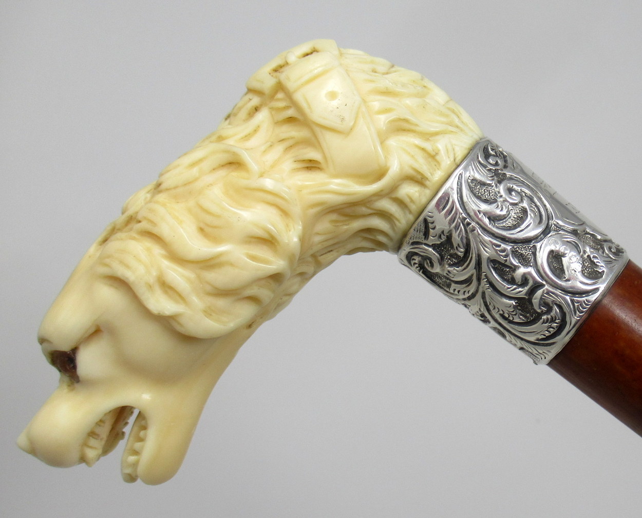 569. Novelty Walking Stick Carved Ivory Dog Jonathan Howell Silver Collar Hallmark 1885 - Image 3