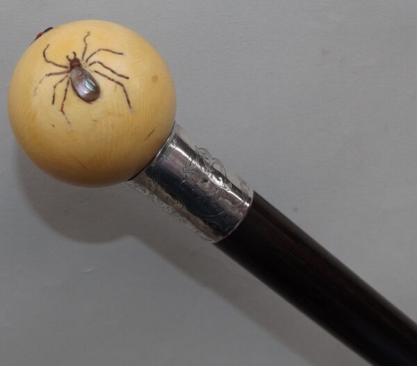 540. Superb Shibayama Ivory Walking Cane 19thCt