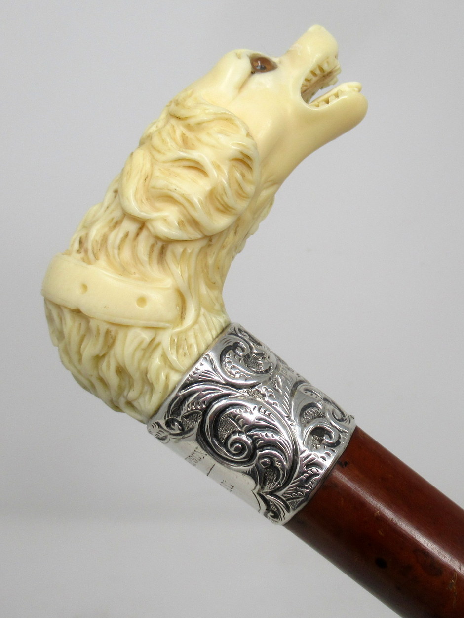 569. Novelty Walking Stick Carved Ivory Dog Jonathan Howell Silver Collar Hallmark 1885 - Image 4