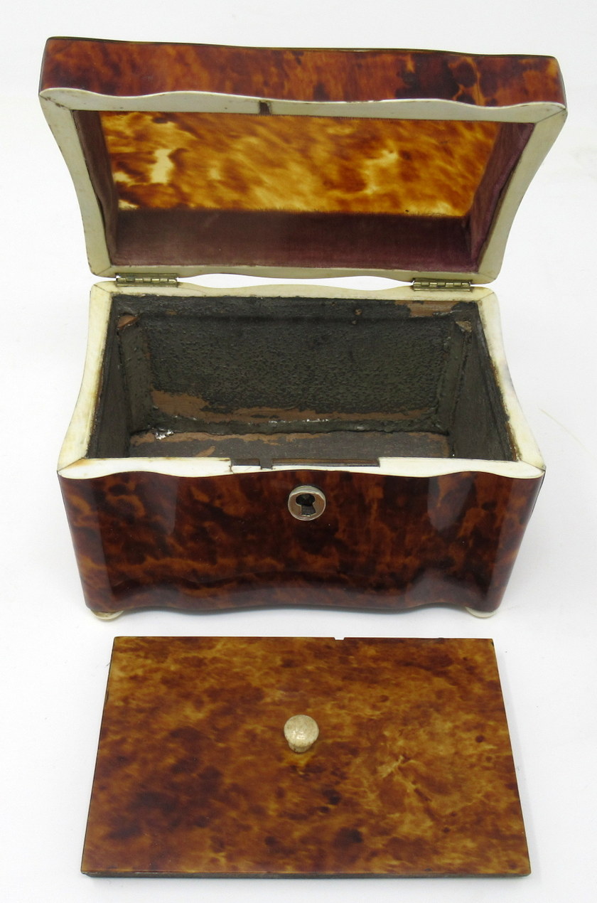 501. Fine Tortoiseshell and Ivory Single Tea Caddy mid 19thCt - Image 3