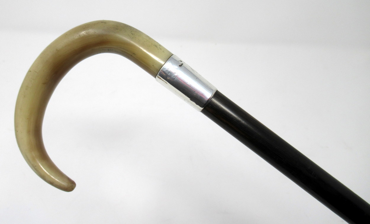 828. Stylish Ladies Ebonized Cow Horn Crook Handle London 1938