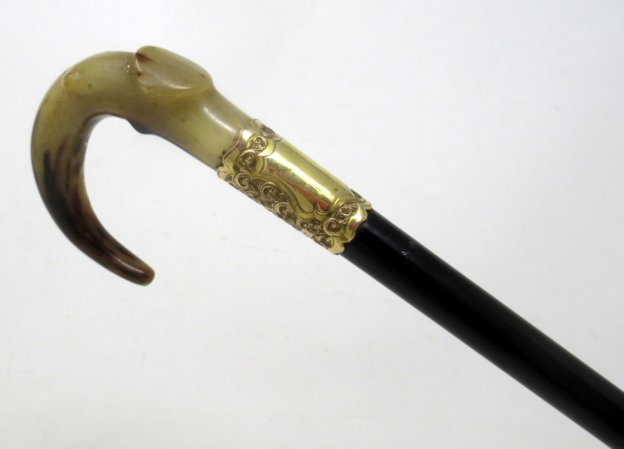 094. Antique Vintage Ladies Gentleman's Walking Stick Gold Plated Cow Horn Handle - Image 3