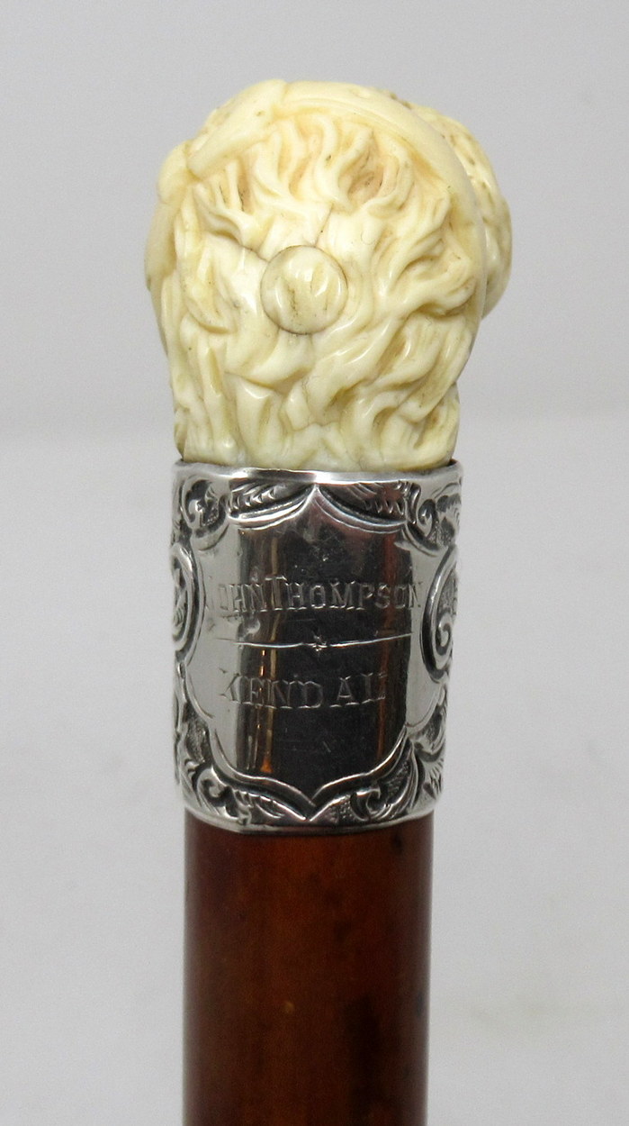 569. Novelty Walking Stick Carved Ivory Dog Jonathan Howell Silver Collar Hallmark 1885 - Image 6