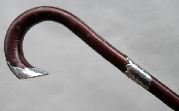 236. Hazel Crook Handle Walking Stick Silver Mounts 1903