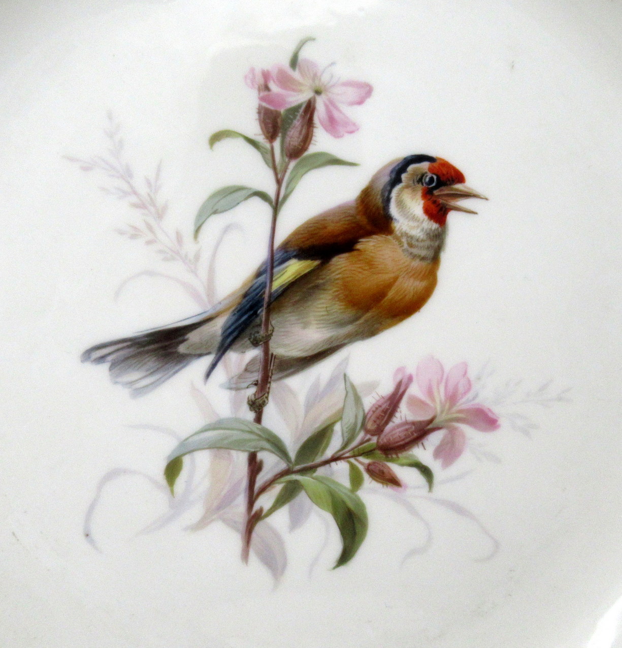 309. Antique Set German Dresden Meissen Ornithological Bird Insect Cabinet Plates - Image 10