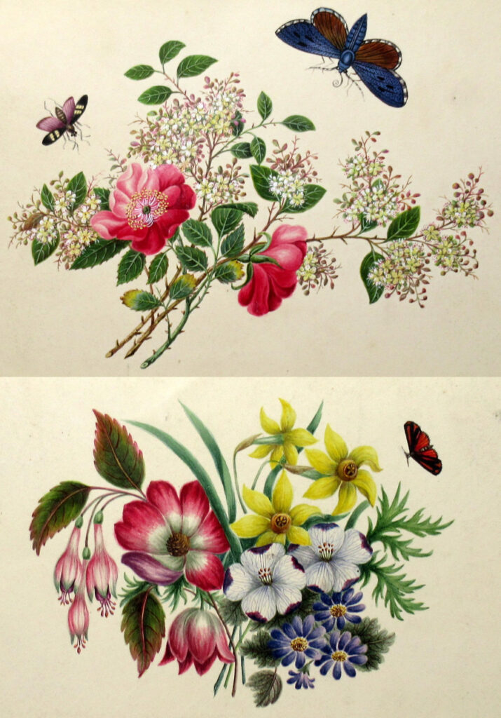 495. Antique Vintage Pair of English Watercolor Paintings Still Life of Flowers Gilt