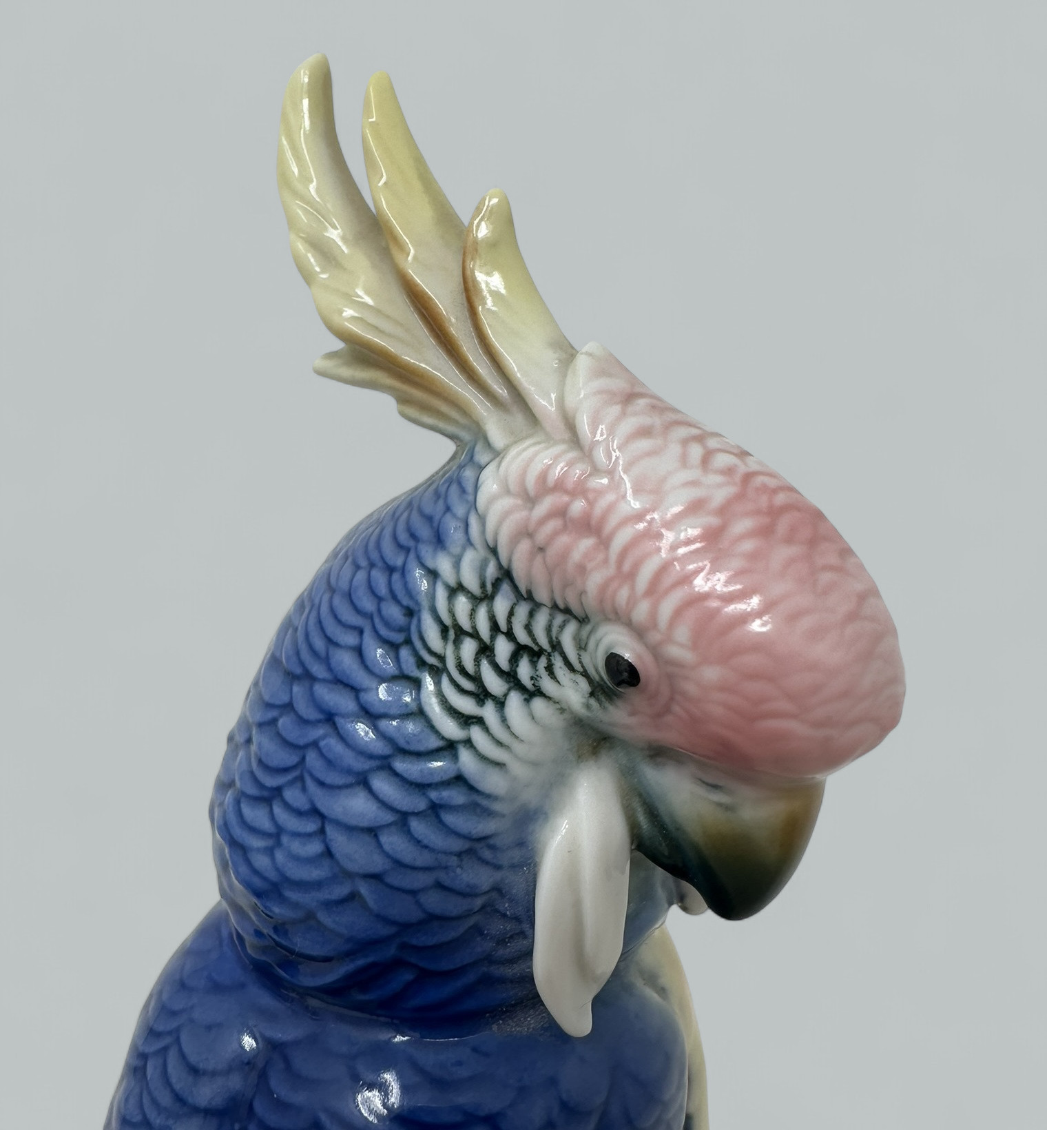 674. Pair Antique German Porcelain Birds Parakeets Cockrels Cockatoo Parrots Karl Ens - Image 5