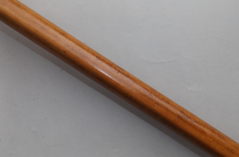 226. Superb Malacca Walking Cane Bronze Head 19thCt - Image 6