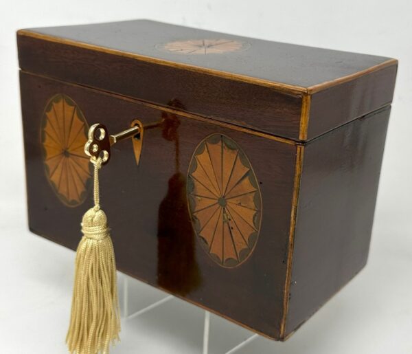 211. Antique Georgian Mahogany Satinwood Inlaid Double Tea Caddy Conch Shell 19thC