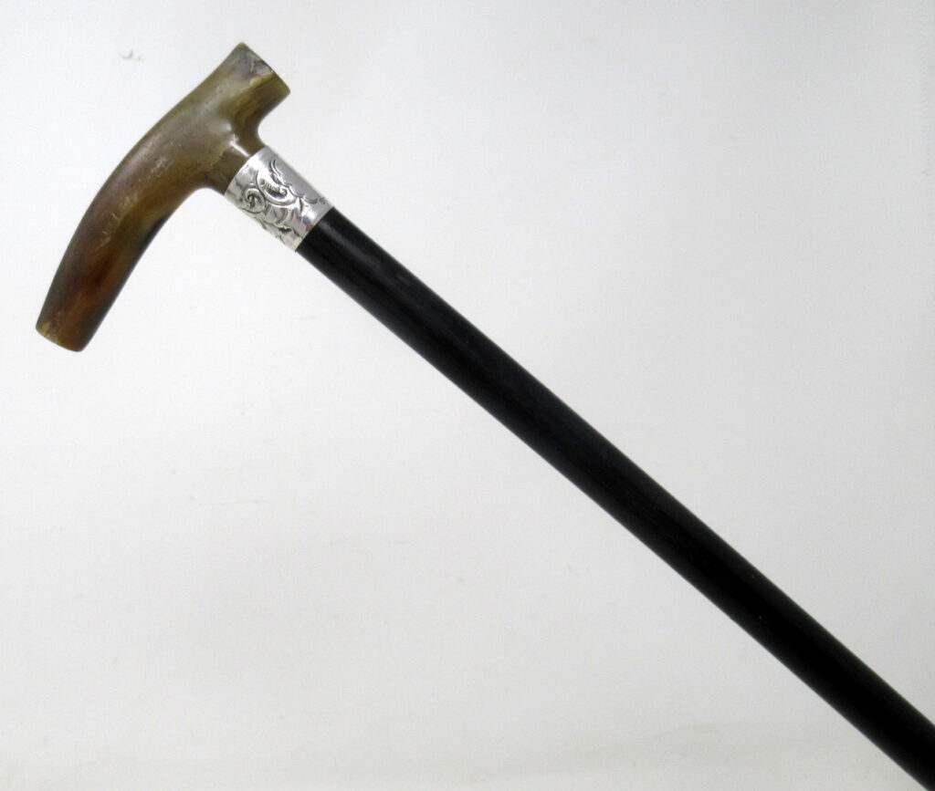 657. Antique Vintage Ladies Walking Stick Sterling Silver Collar Cow Horn Handle 1927