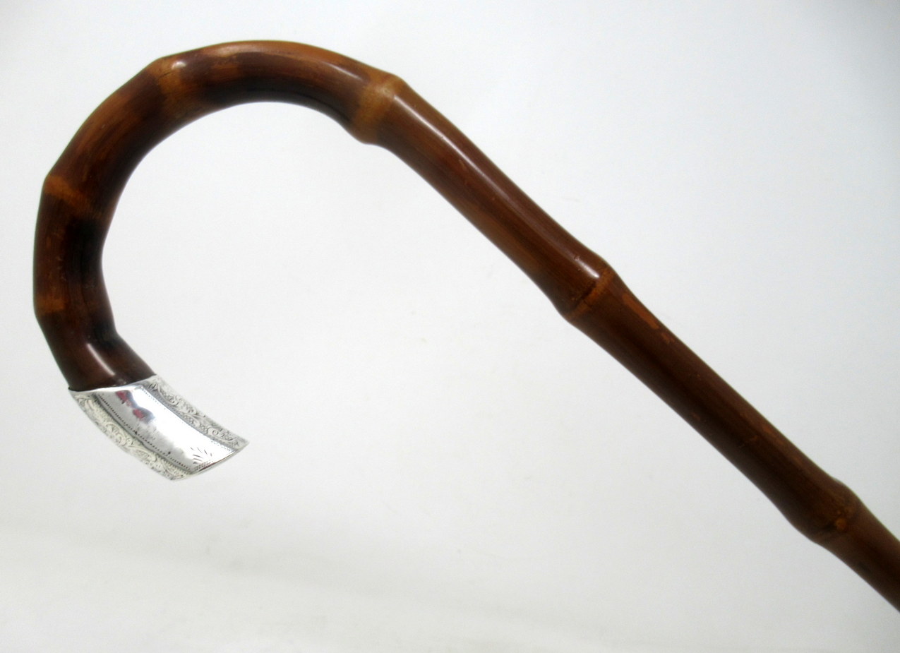 454. Antique Bamboo Wooden Walking Stick Cane Sterling Silver Mount Crook Handle 1908 - Image 3