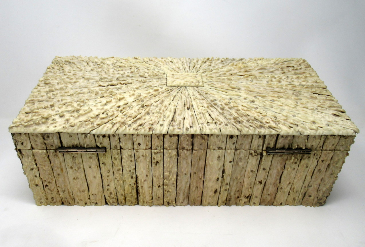 284. Antique Anglo Indian Vizagapatam Stag Antler Horn Sandalwood Document Box Casket - Image 6