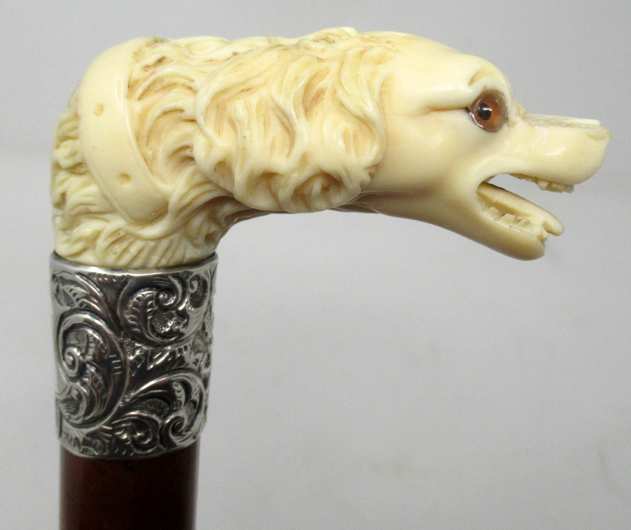 569. Novelty Walking Stick Carved Ivory Dog Jonathan Howell Silver Collar Hallmark 1885 - Image 5