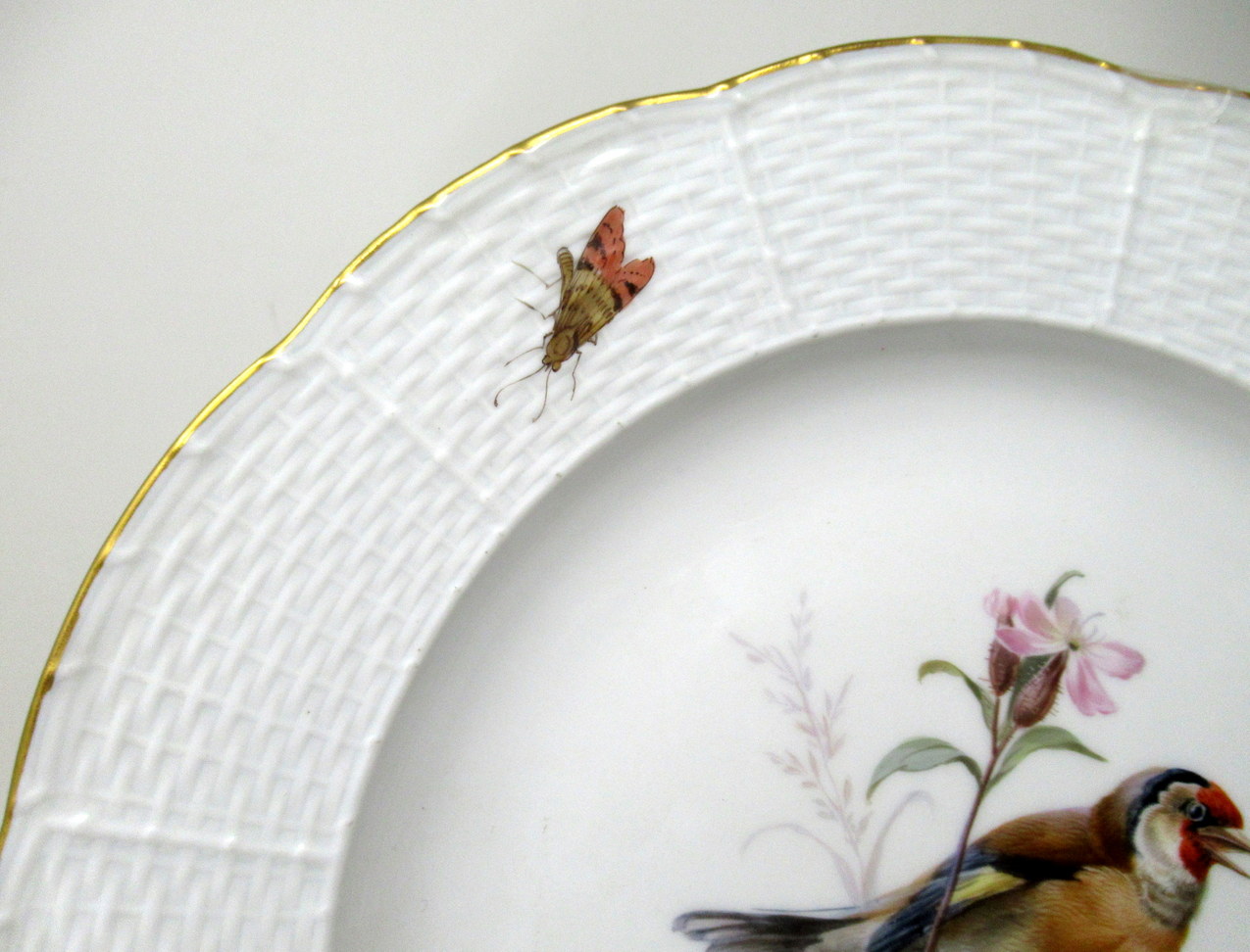 309. Antique Set German Dresden Meissen Ornithological Bird Insect Cabinet Plates - Image 7