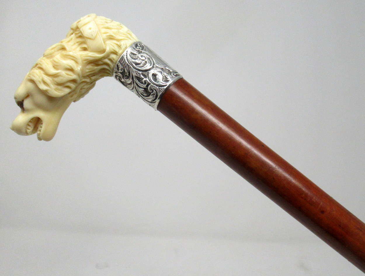 569. Novelty Walking Stick Carved Ivory Dog Jonathan Howell Silver Collar Hallmark 1885