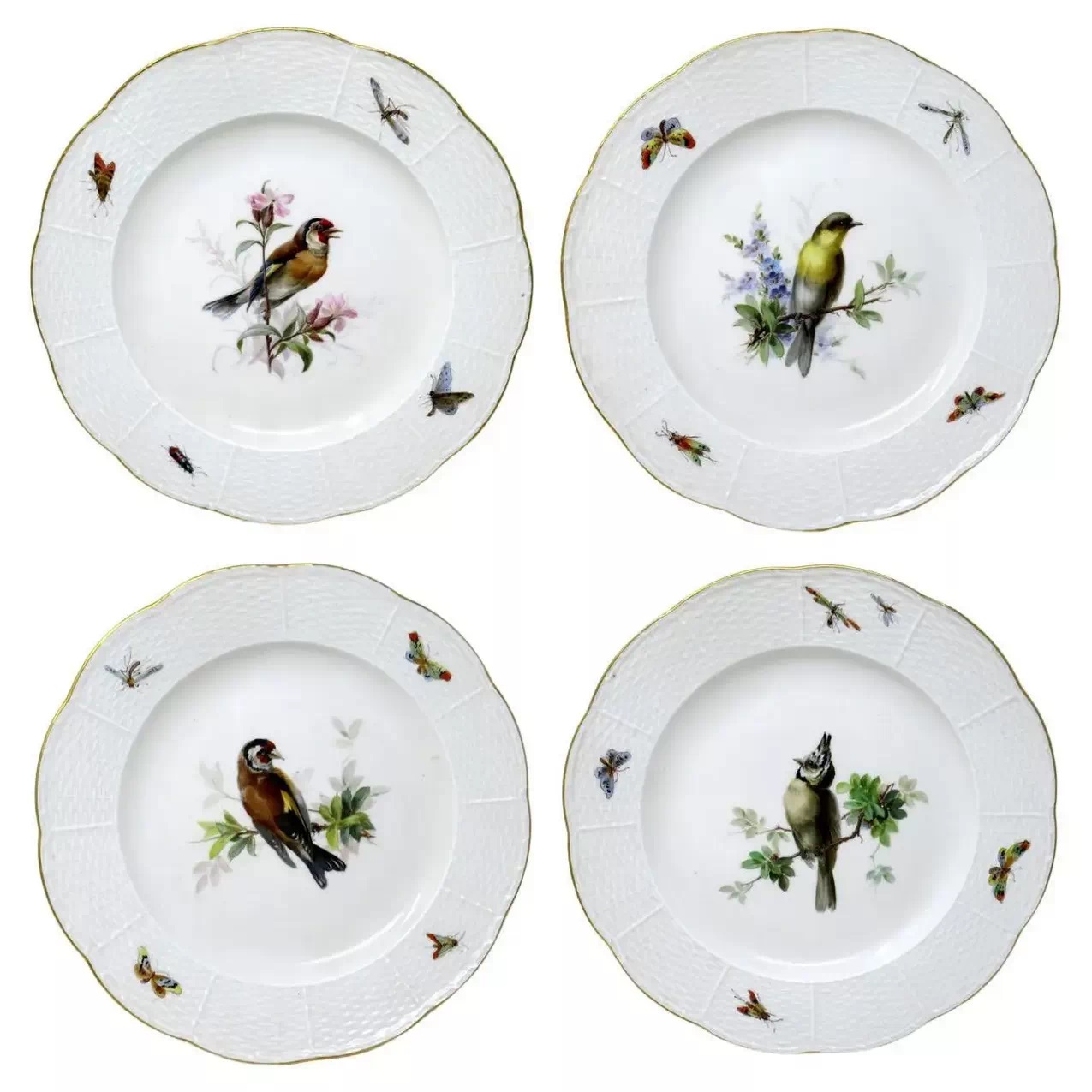 309. Antique Set German Dresden Meissen Ornithological Bird Insect Cabinet Plates