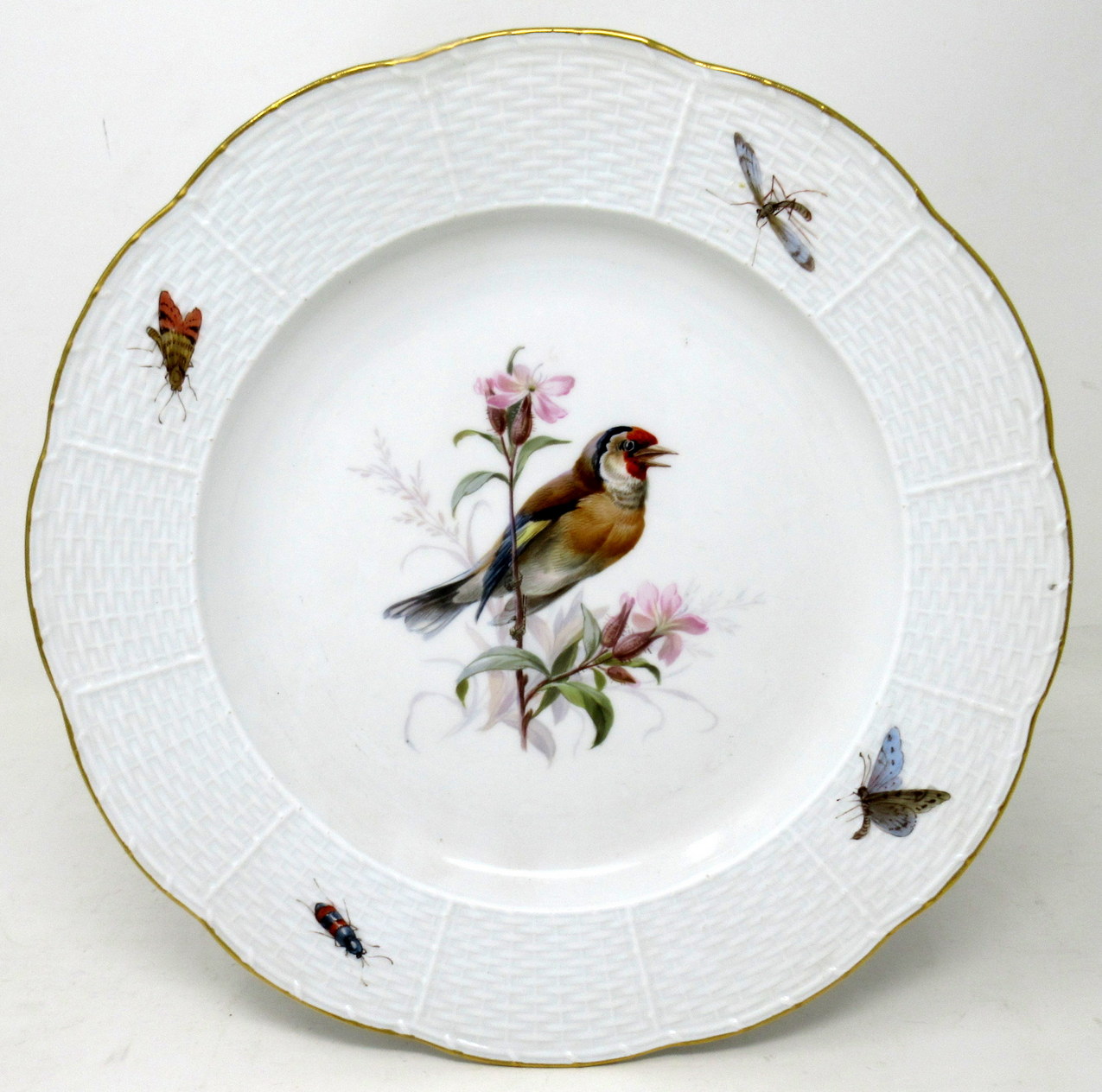 309. Antique Set German Dresden Meissen Ornithological Bird Insect Cabinet Plates - Image 3