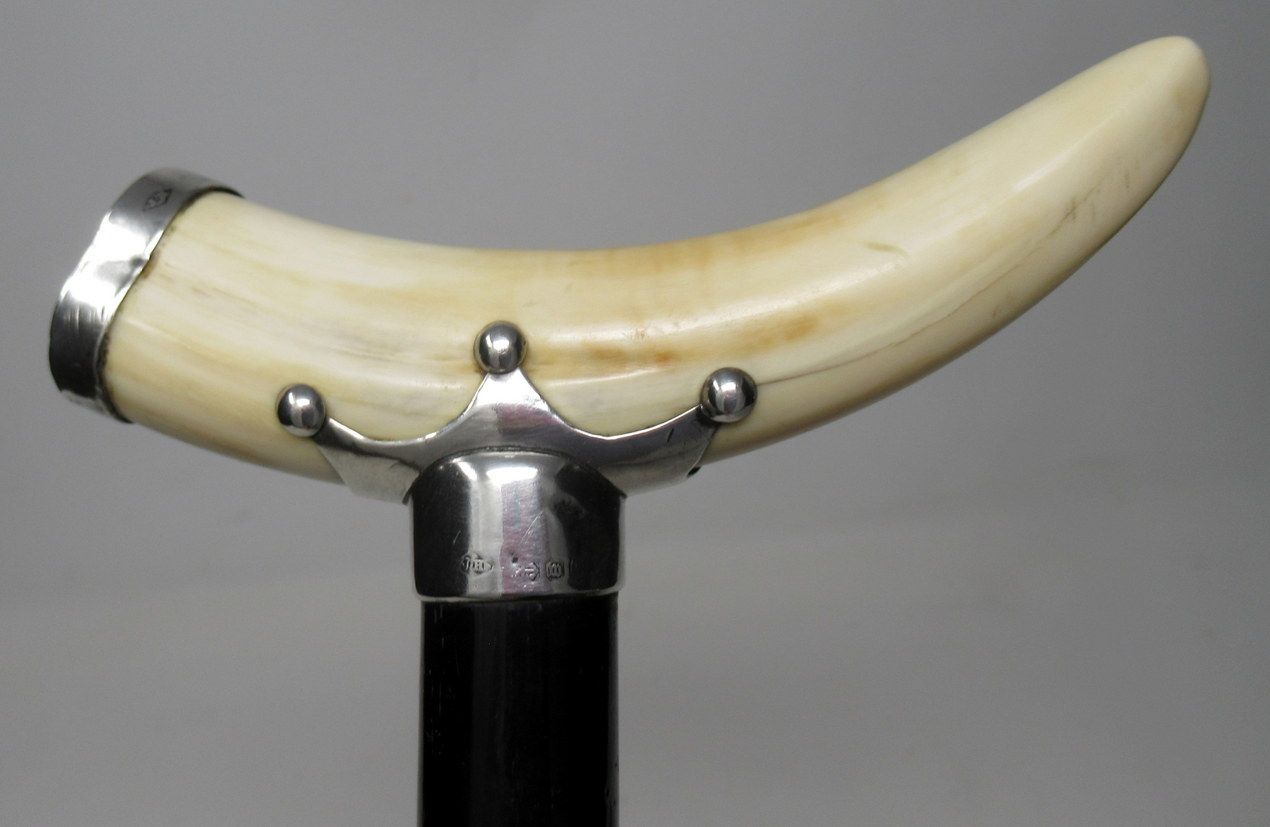151. Superb Ebony Walking Stick Jonathan Howell Silver Mount Boar Tusk Hallmark 1899 - Image 3