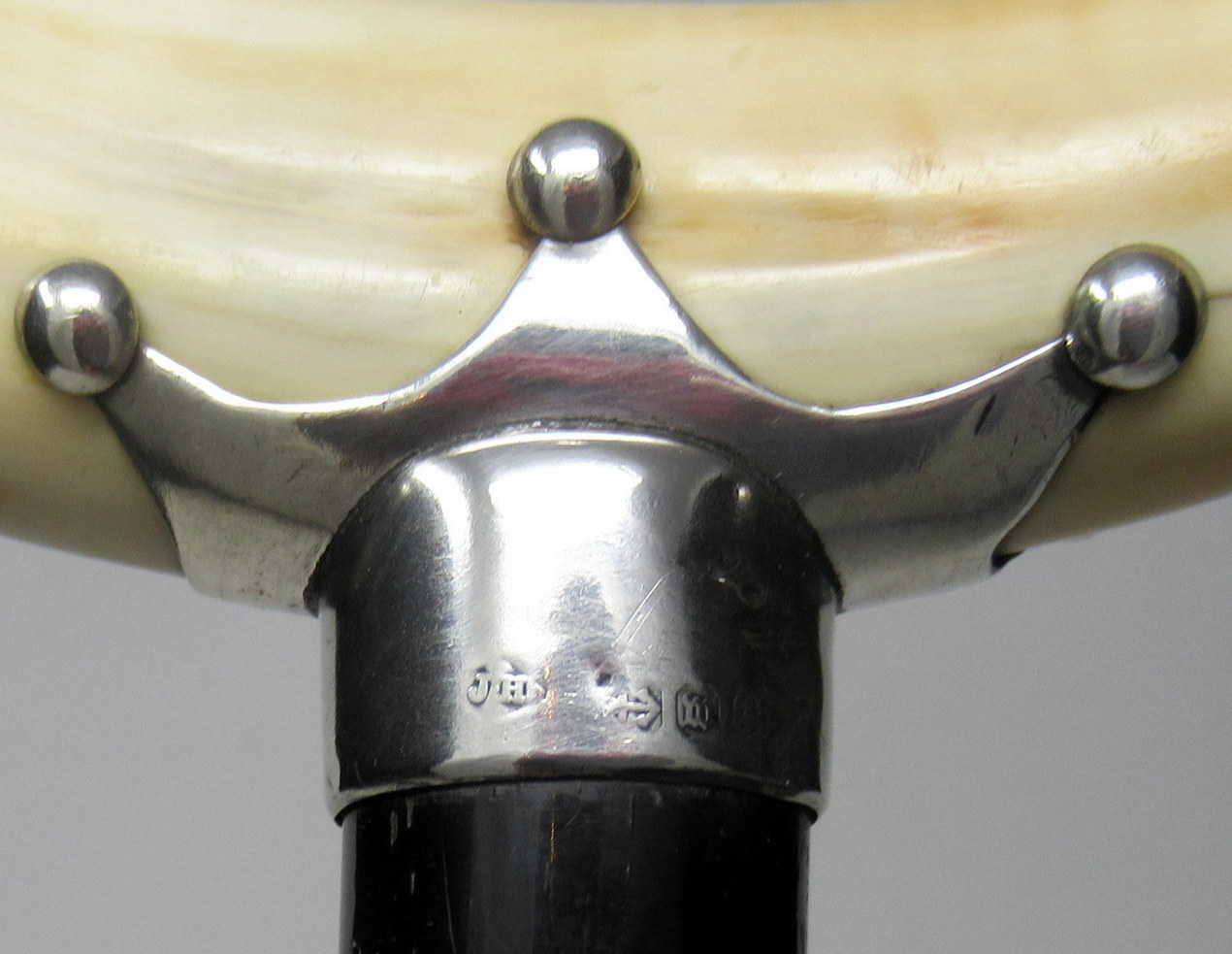 151. Superb Ebony Walking Stick Jonathan Howell Silver Mount Boar Tusk Hallmark 1899 - Image 4