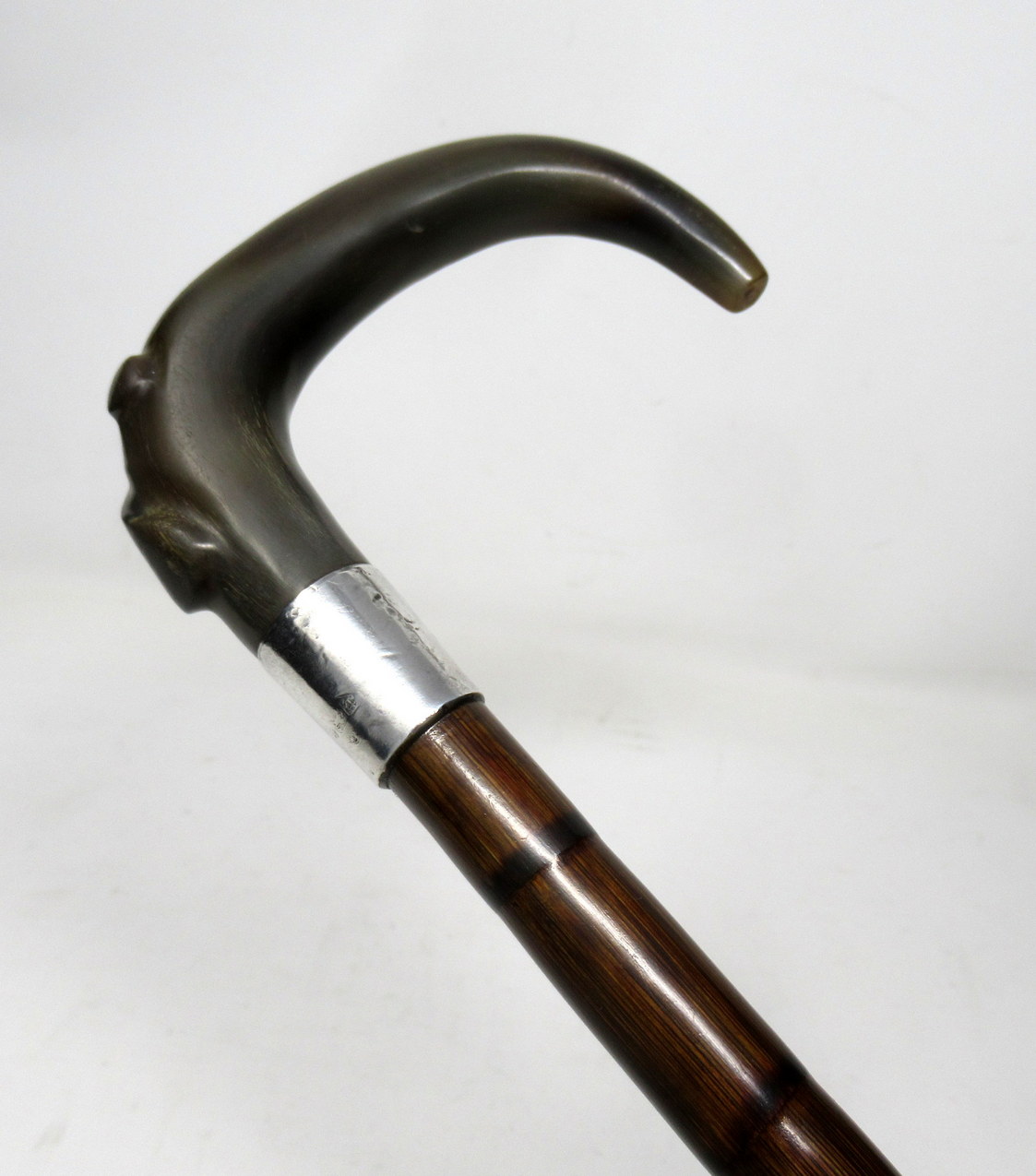 094. Partridge Wood Walking Stick Cane Horn Crook Handle Sterling Silver Collar 1900 - Image 5