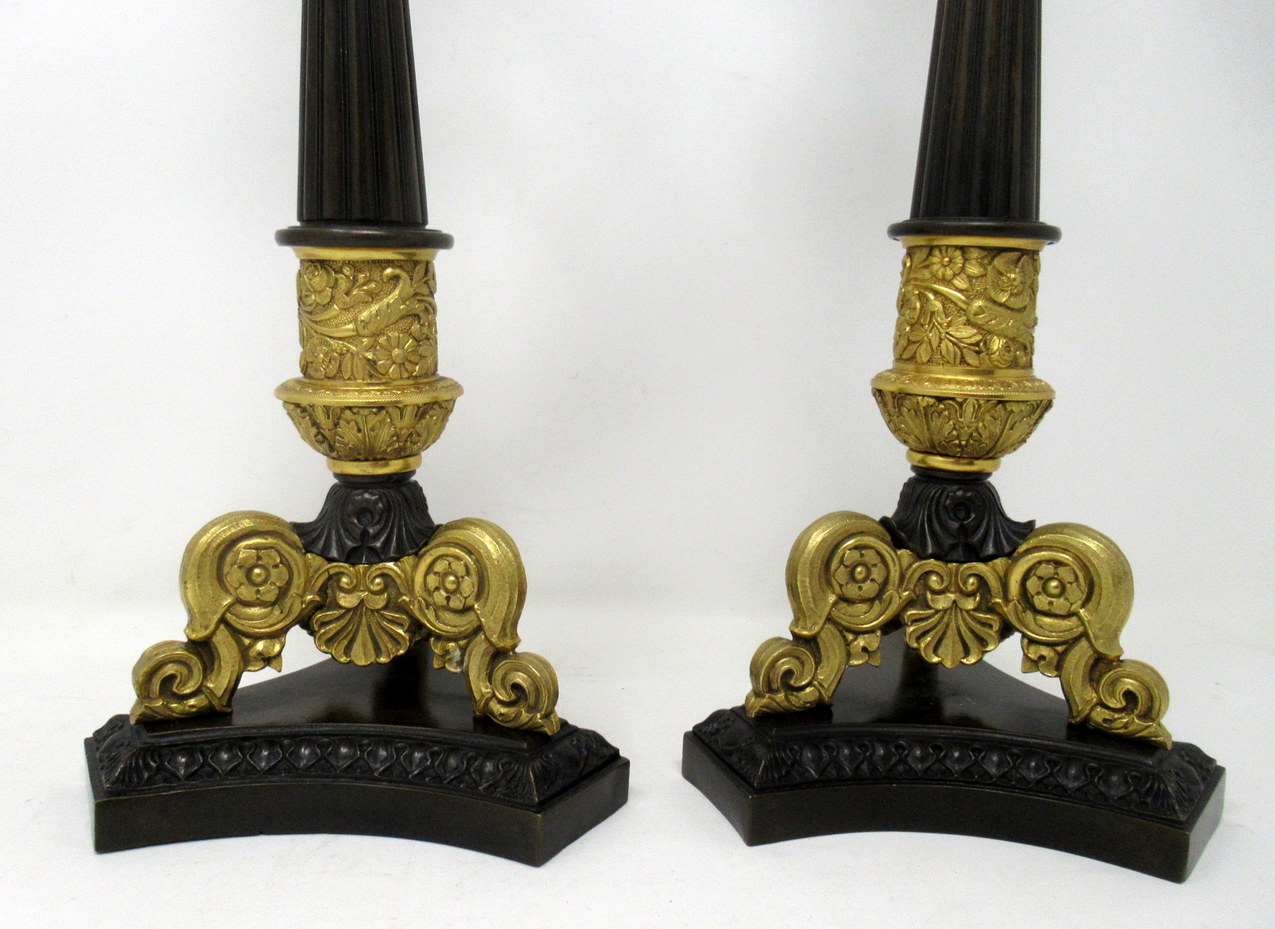 985. Antique Pair of French Doré Bronze Neoclassical Ormolu Candlestick Lamps 19thCt - Image 4