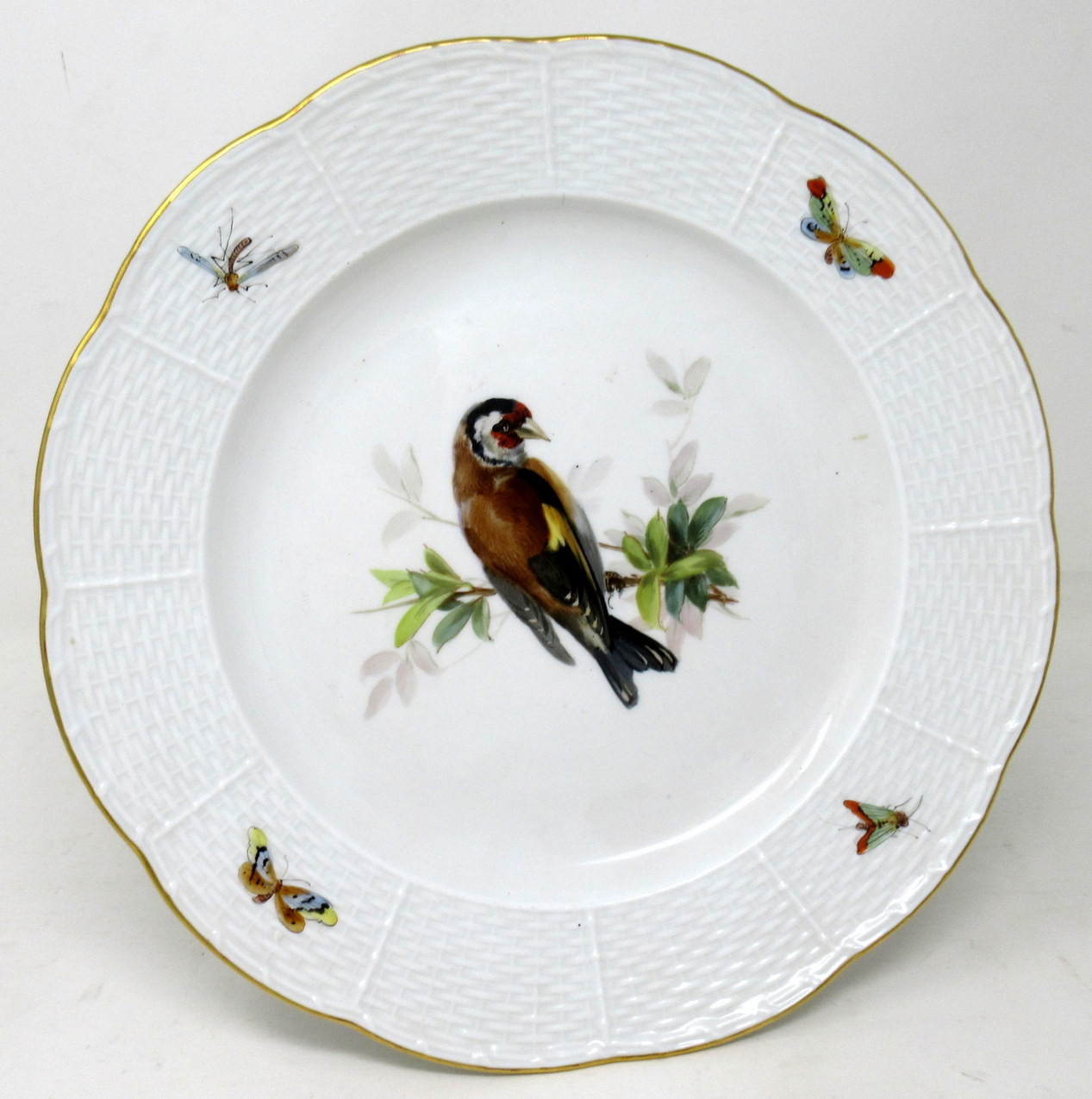309. Antique Set German Dresden Meissen Ornithological Bird Insect Cabinet Plates - Image 5