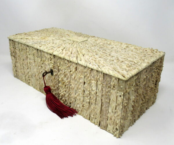 284. Antique Anglo Indian Vizagapatam Stag Antler Horn Sandalwood Document Box Casket