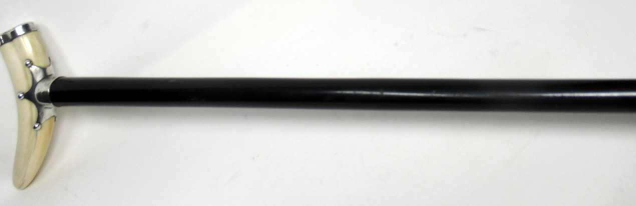 151. Superb Ebony Walking Stick Jonathan Howell Silver Mount Boar Tusk Hallmark 1899 - Image 6