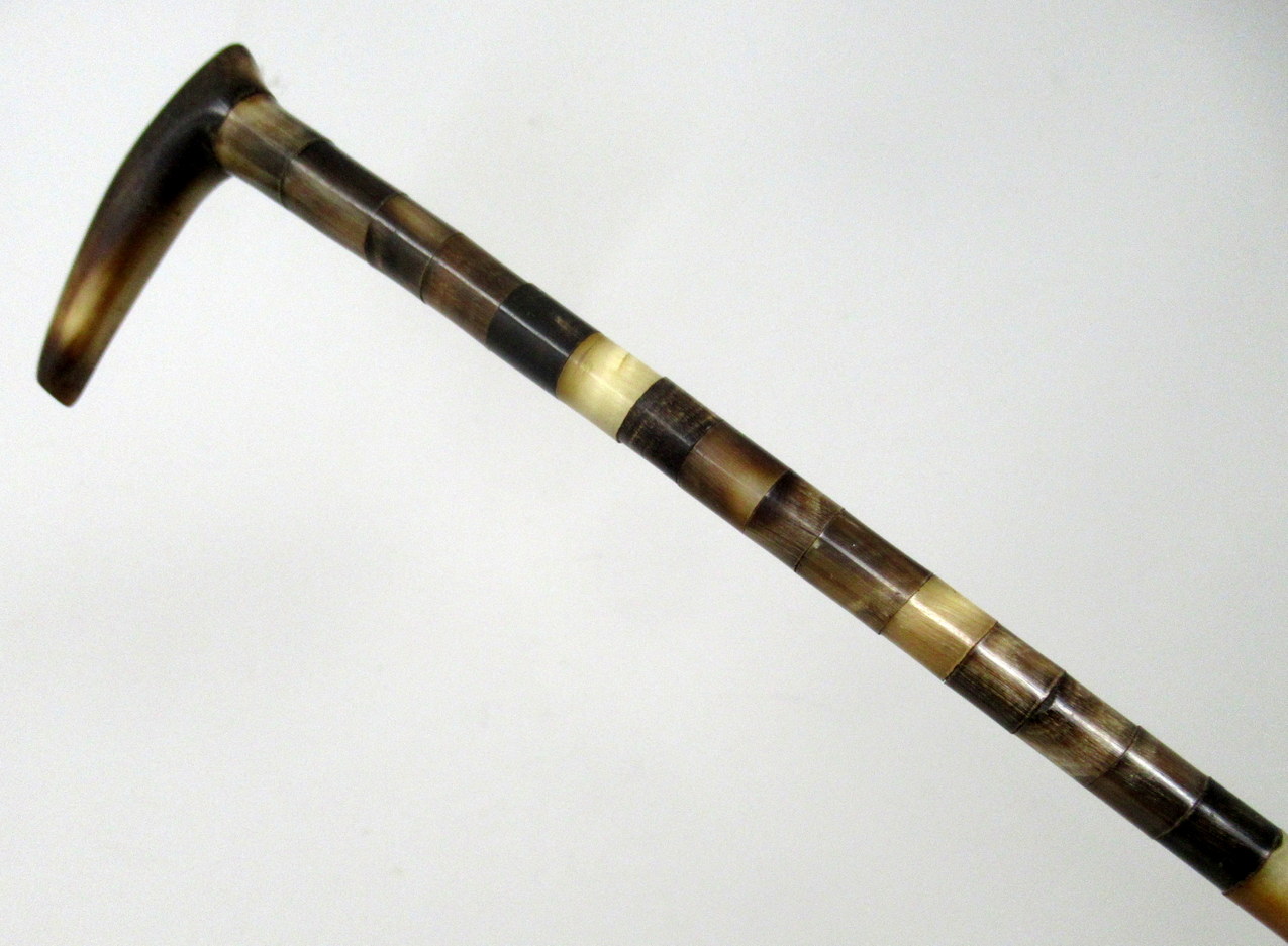270. Antique Ladies Dress Cane Walking Stick Bovine Horn Crook Handled 19th Century - Image 3