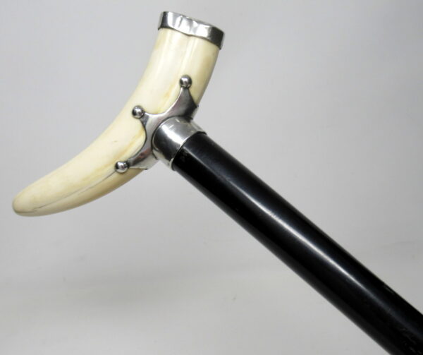 151. Superb Ebony Walking Stick Jonathan Howell Silver Mount Boar Tusk Hallmark 1899