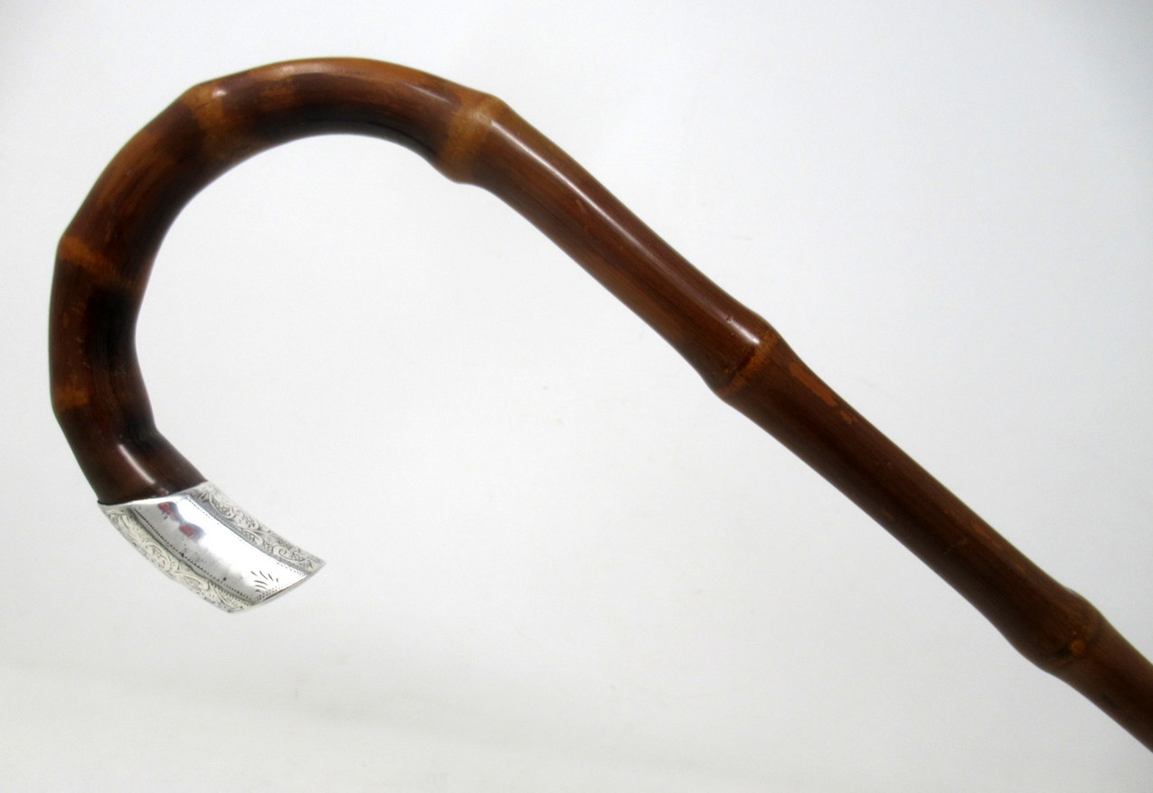 454. Antique Bamboo Wooden Walking Stick Cane Sterling Silver Mount Crook Handle 1908 - Image 2