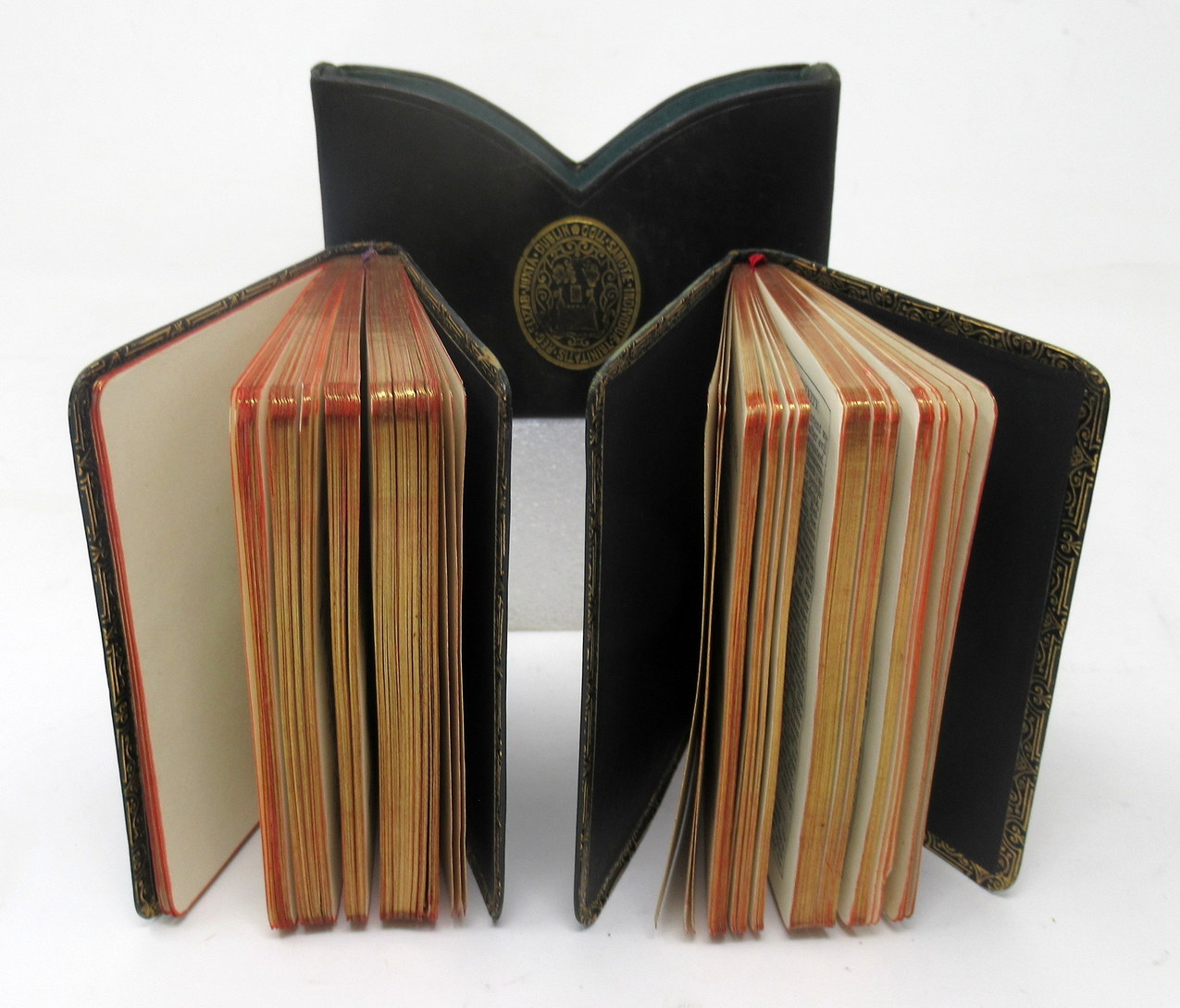 499. Irish Church Hymnal Common Prayer Book Trinity College Dublin Queen Elizabeth I - Image 2