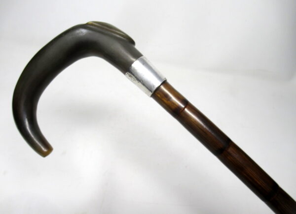 094. Partridge Wood Walking Stick Cane Horn Crook Handle Sterling Silver Collar 1900