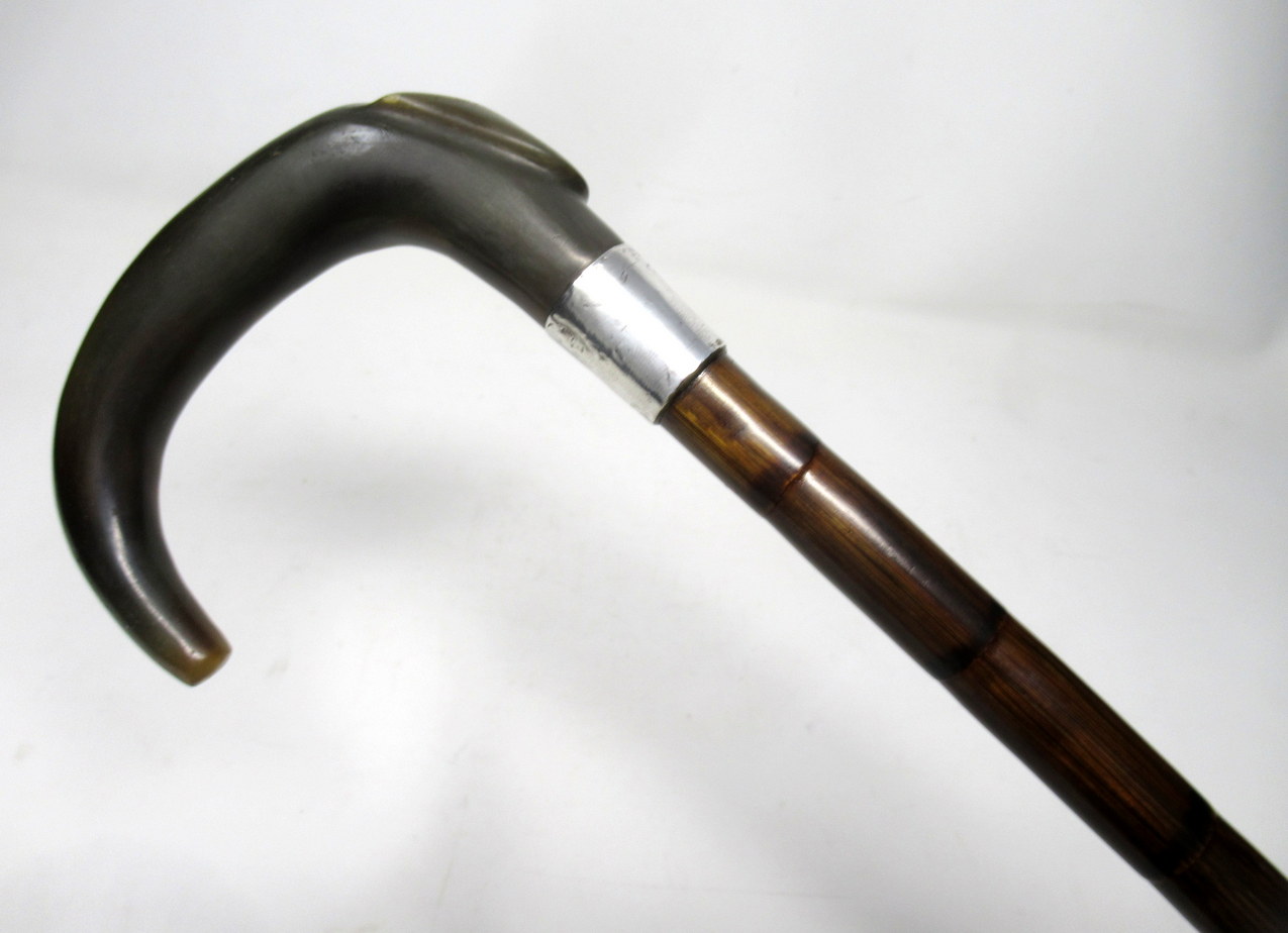 094. Partridge Wood Walking Stick Cane Horn Crook Handle Sterling Silver Collar 1900