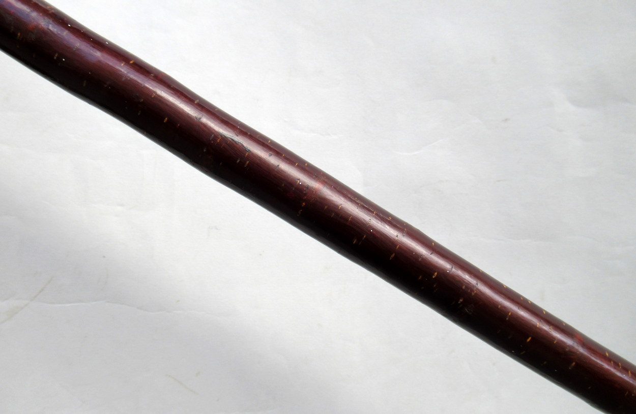 236. Hazel Crook Handle Walking Stick Silver Mounts 1903 - Image 7